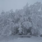 Winterwonderland im Nebel versunken