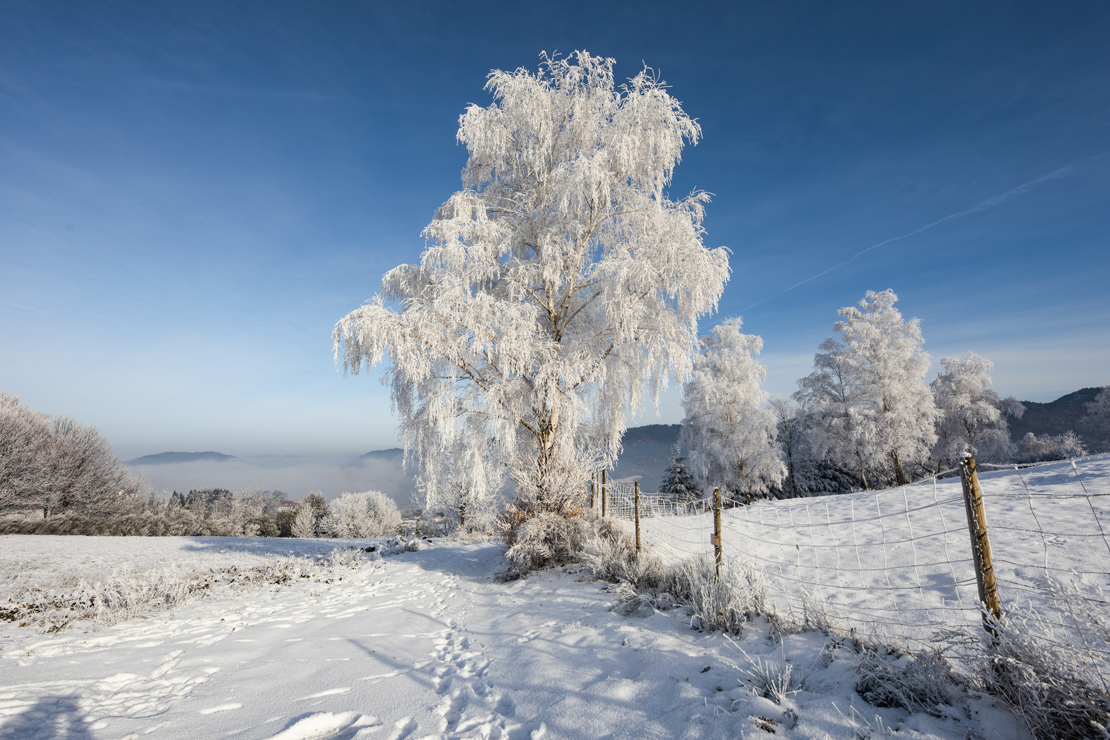 Winterwonderland im Schwarzwald