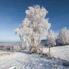 Winterwonderland im Schwarzwald