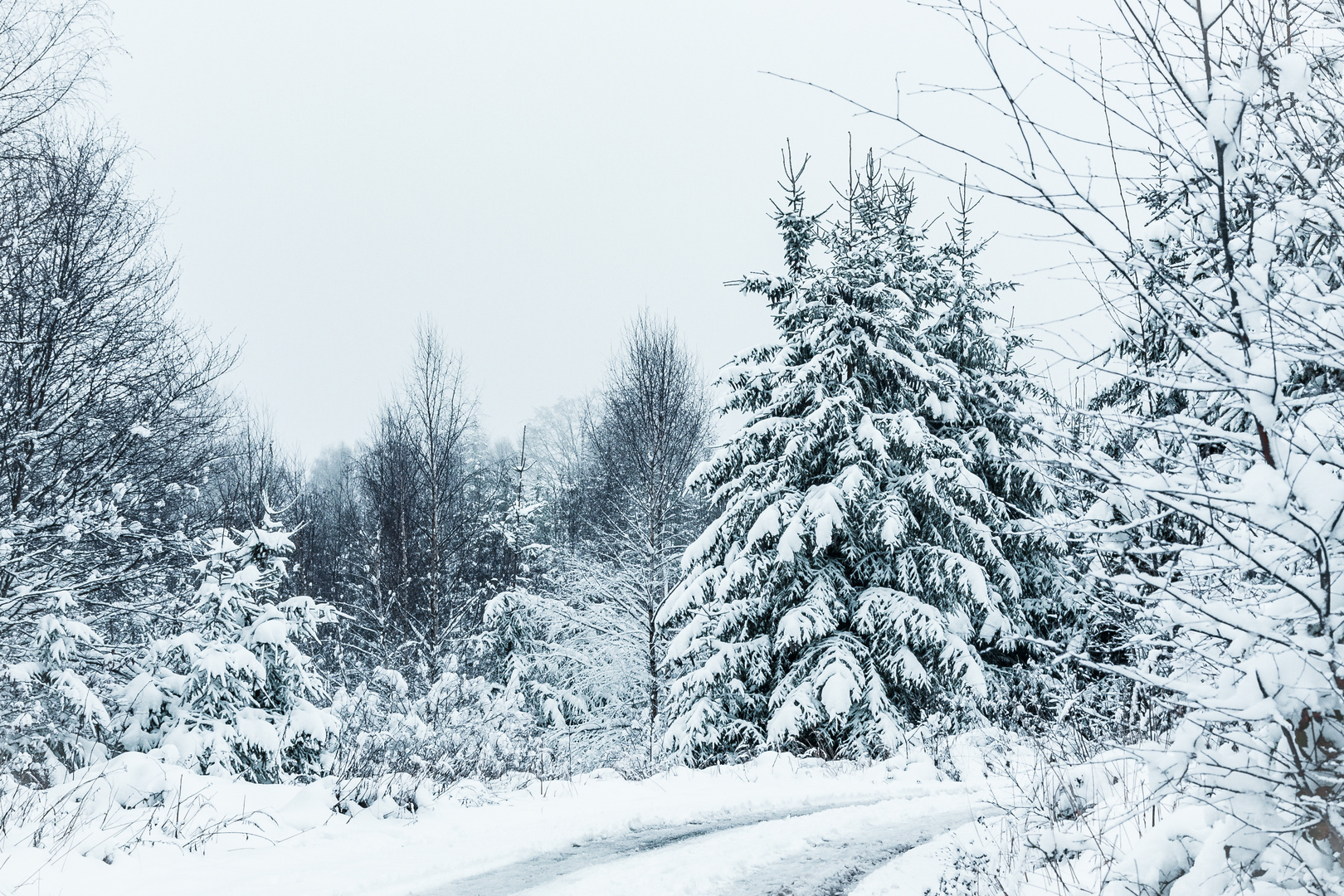 Winterwonderland im Westerwald