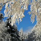 Winterwonderland in der Rhön 