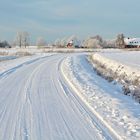 Winterwonderland in Dithmarschen (1)