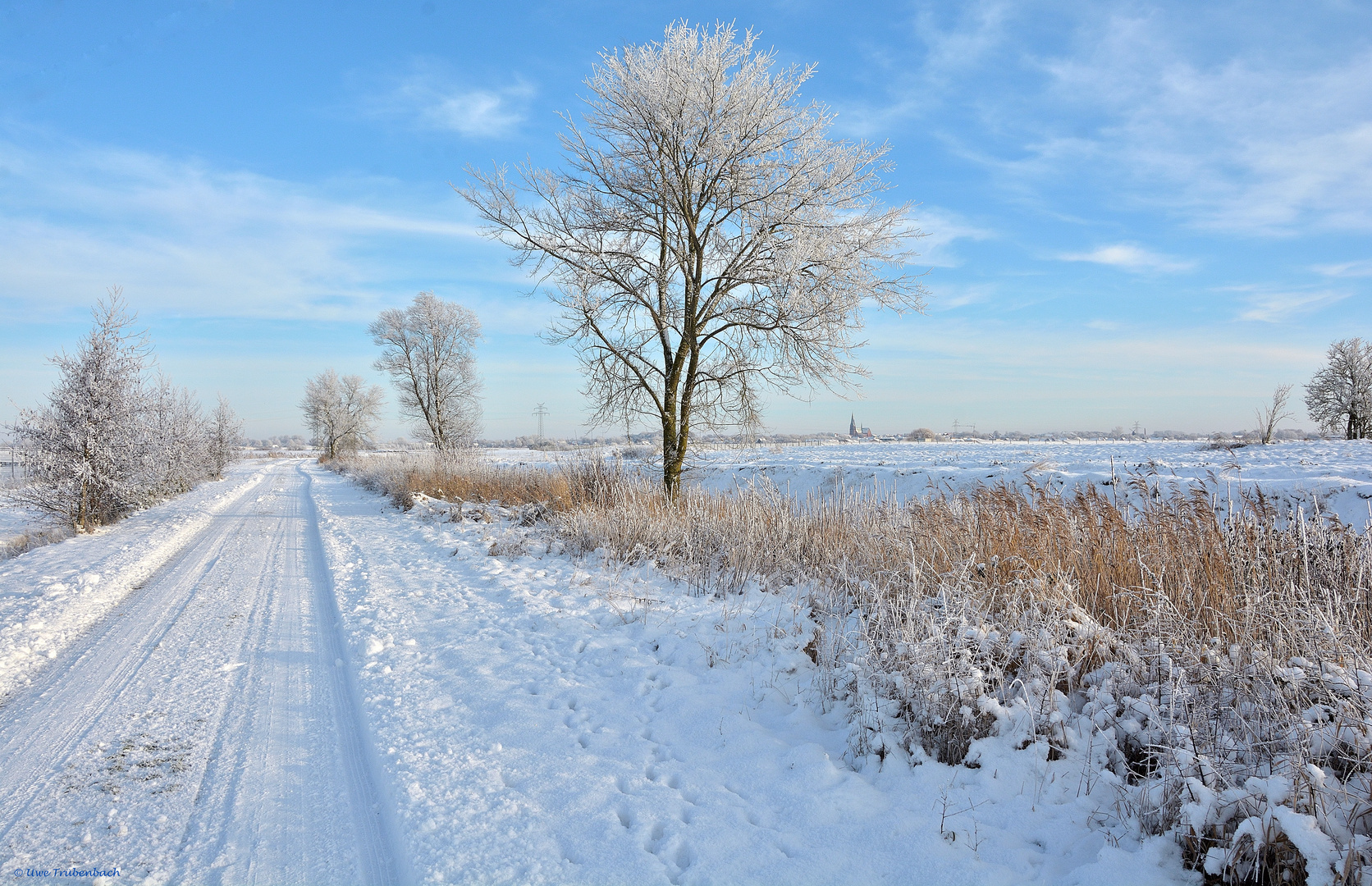 Winterwonderland in Dithmarschen (3)