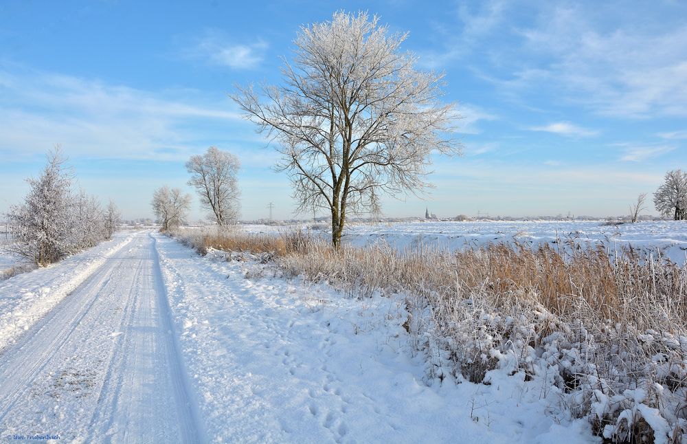 Winterwonderland in Dithmarschen (3)