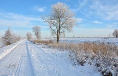 Winterwonderland in Dithmarschen (3)