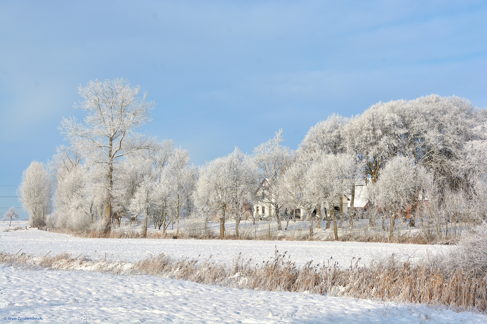 Winterwonderland in Dithmarschen (5)