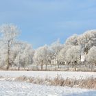 Winterwonderland in Dithmarschen (5)