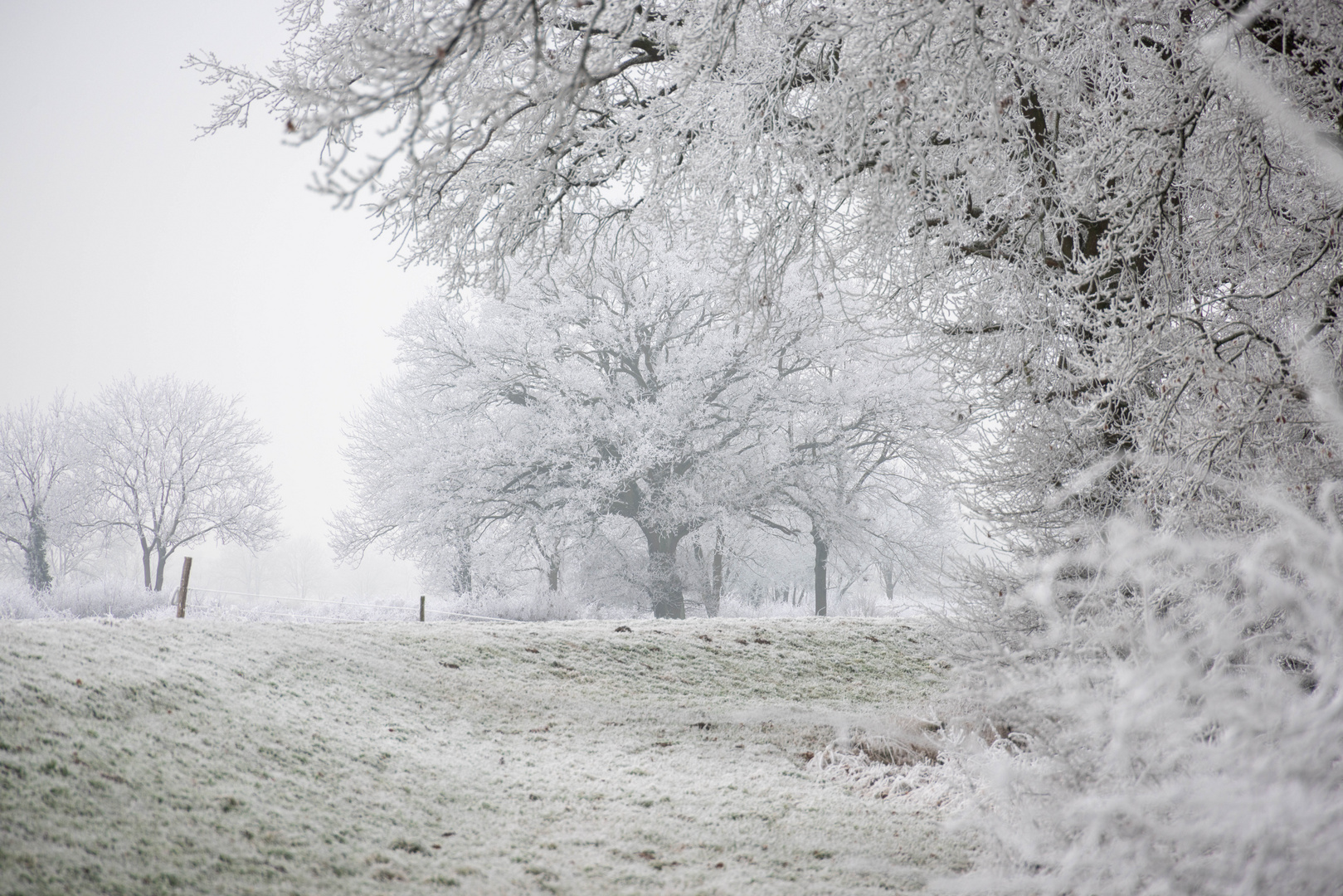 Winterwonderland in Lower Saxony