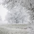 Winterwonderland in Lower Saxony