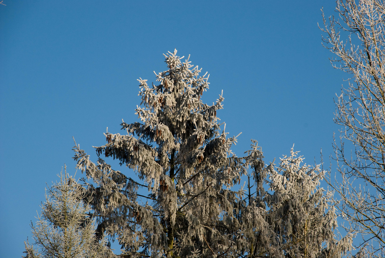 Winterwonderland in Preetz 3