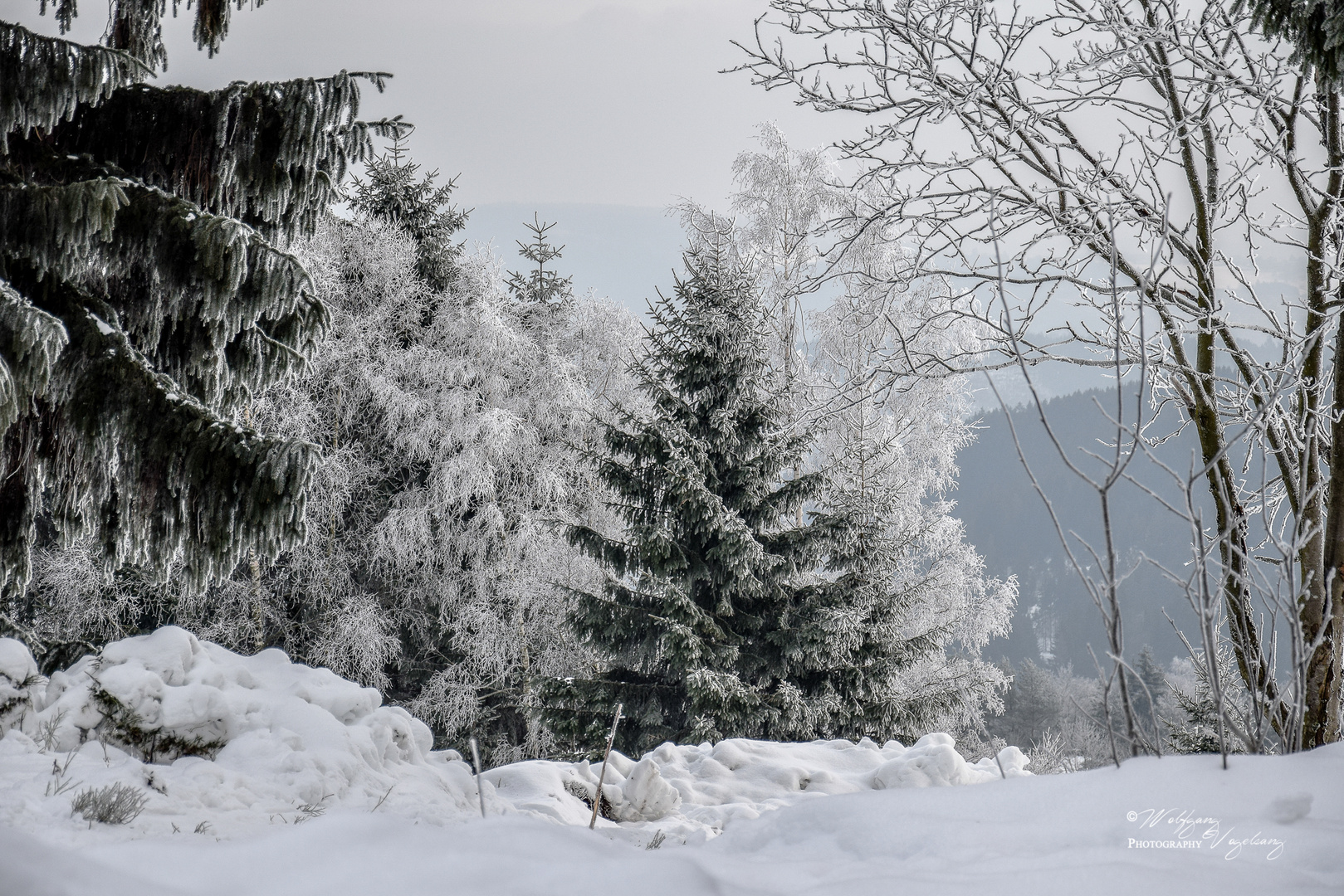 Winterwonderland in Thüringen