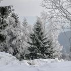 Winterwonderland in Thüringen