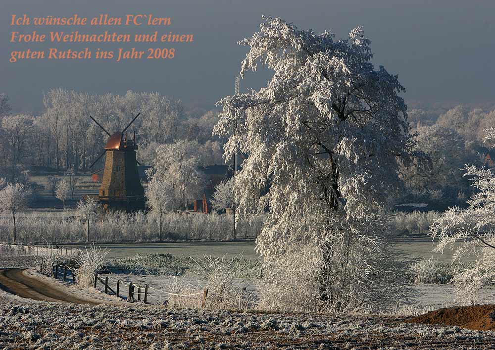Winterwonderland ohne Schnee Foto & Bild gratulation und feiertage