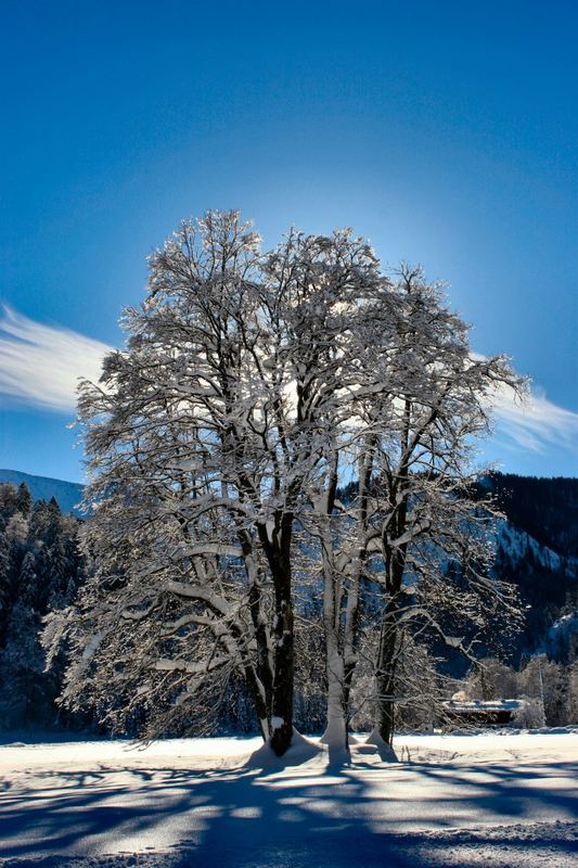 Winterwonderland reloaded...