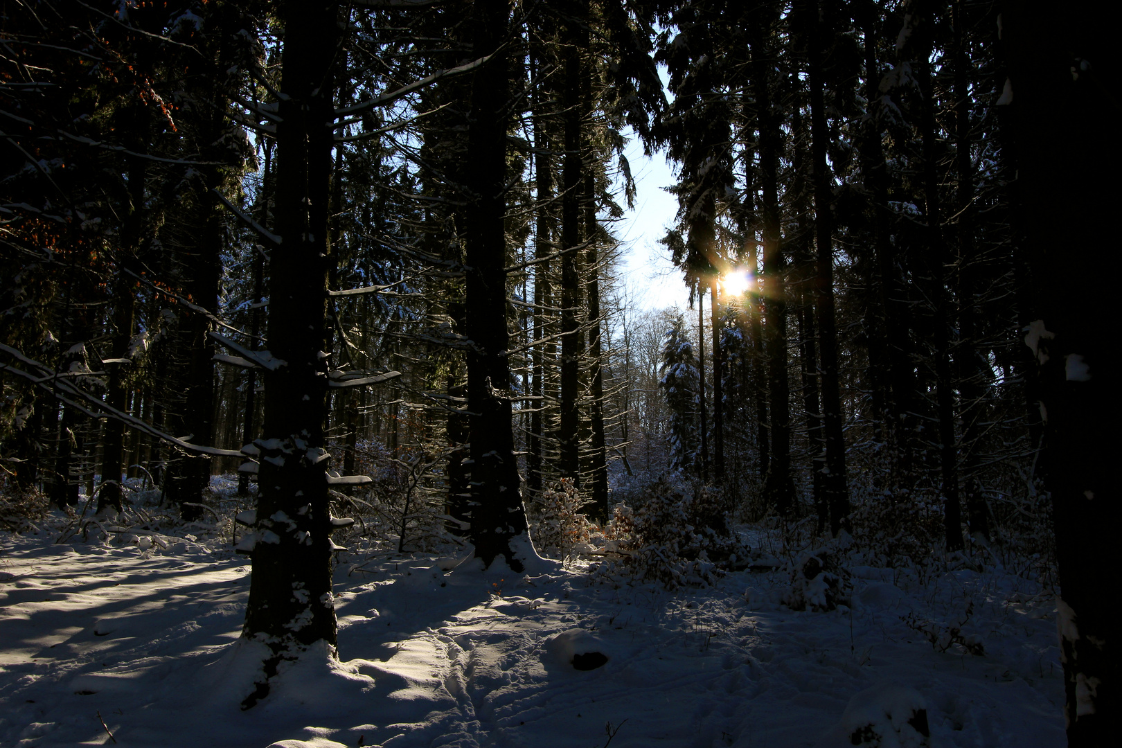 Winterwonderland Taunus