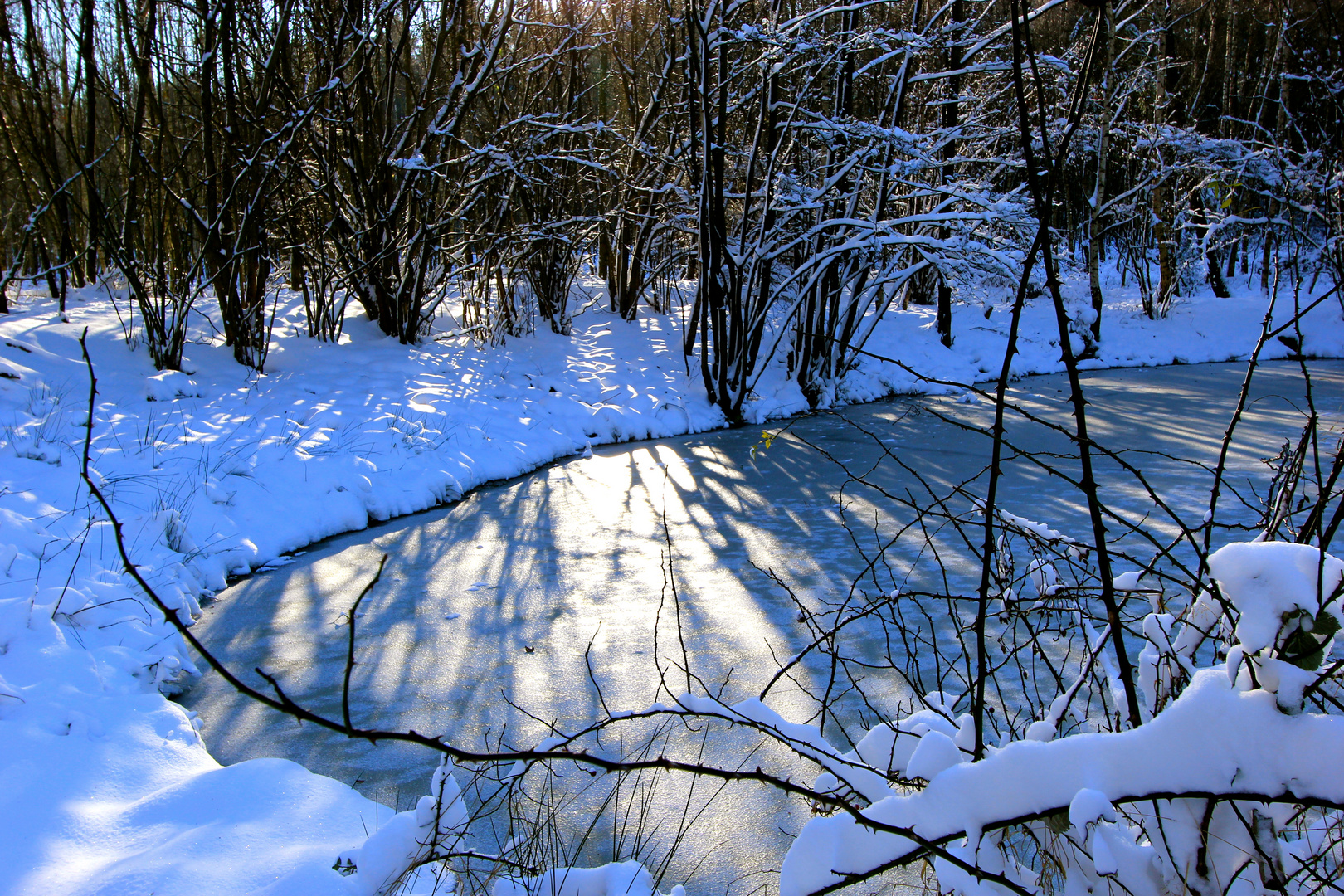 Winterwonderland Taunus mit Teich