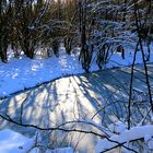 Winterwonderland Taunus mit Teich