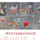 Winterwunder