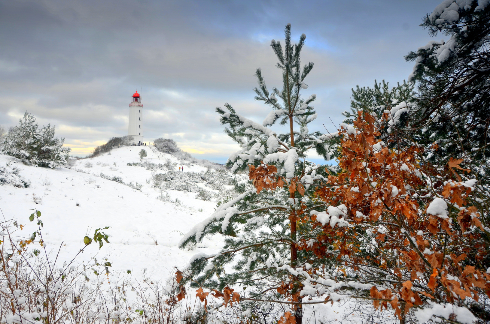 Winterwunder Hiddensee 2023