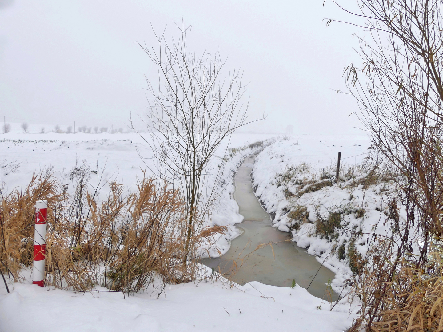 Winterwunder in der Elbmarsch