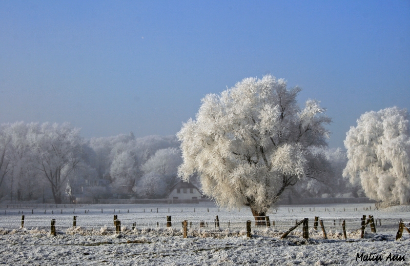 ~Winterwunderland~