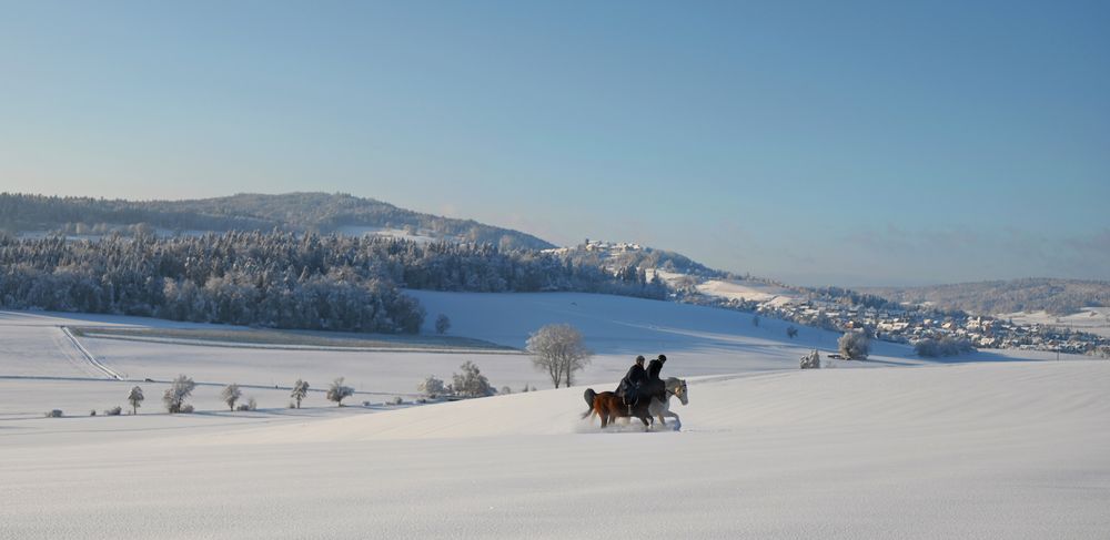 Winterwunderland