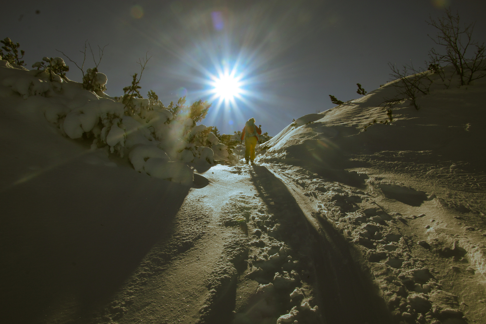 Winterwunderland