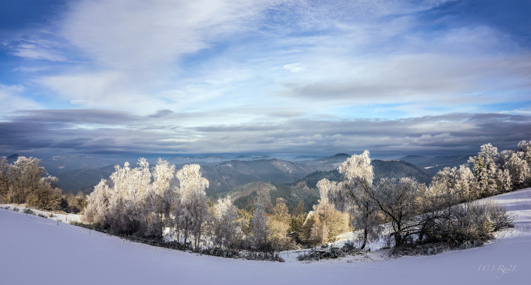 winterwunderland 