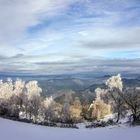 winterwunderland 