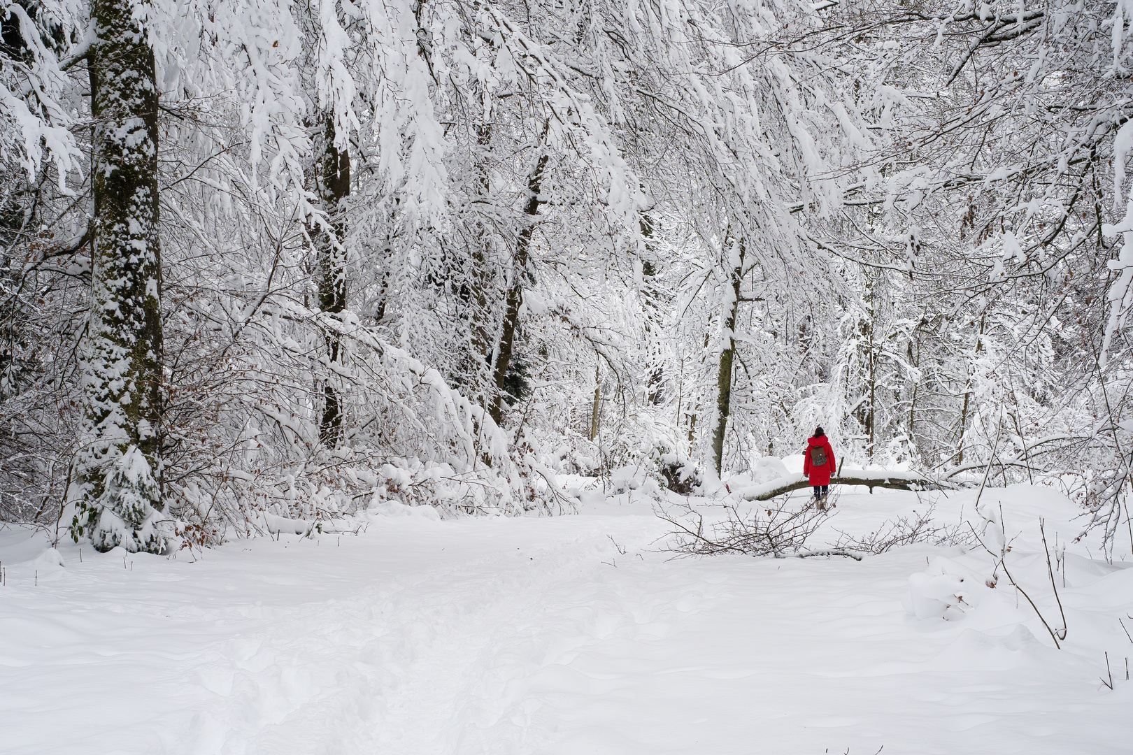 Winterwunderland ...