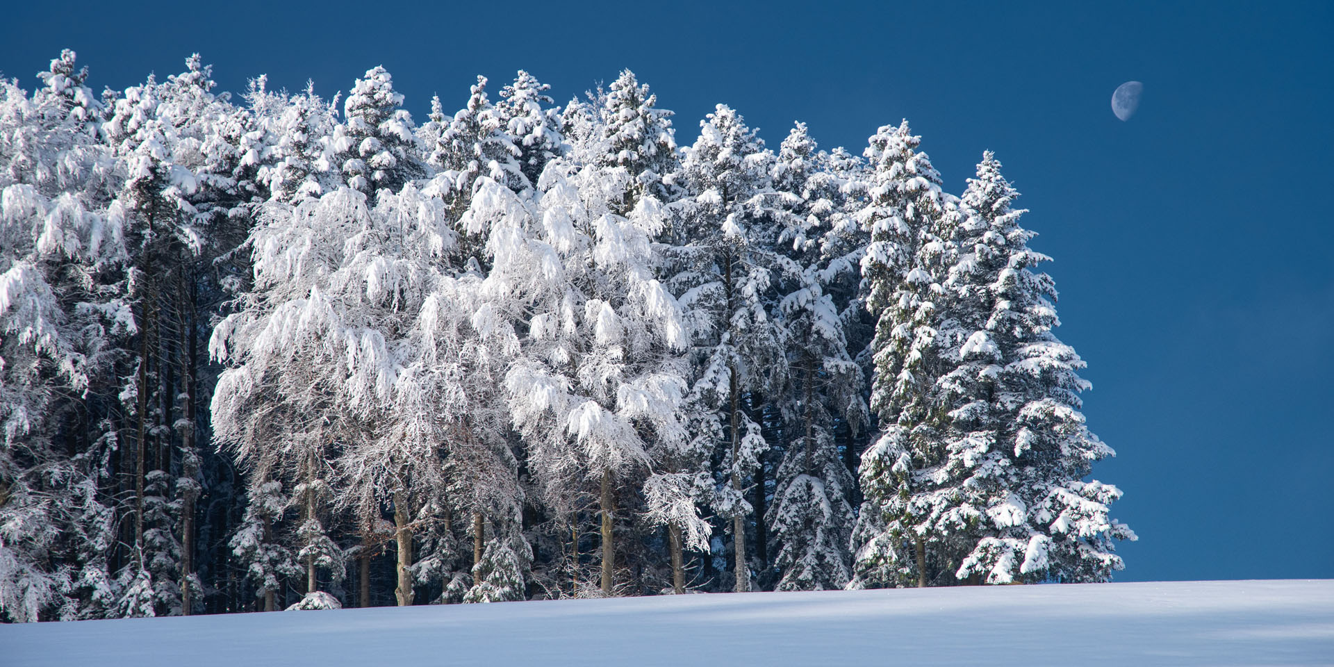 Winterwunderland