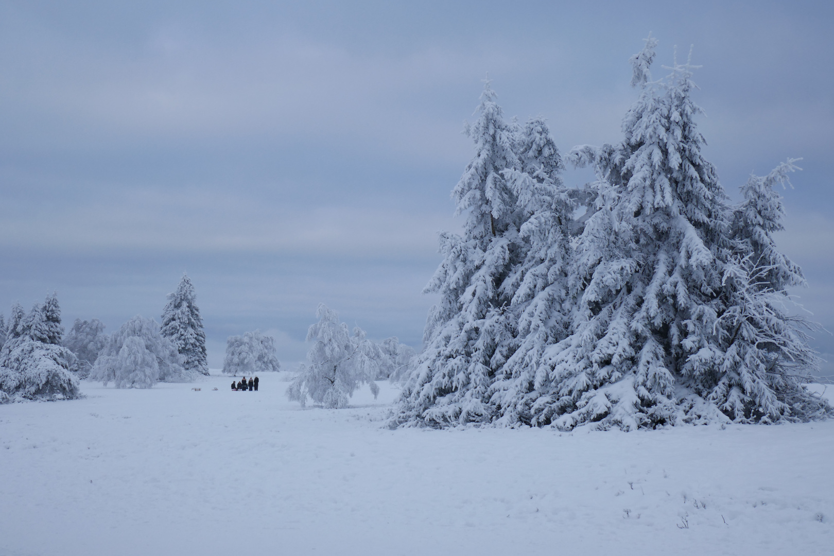 Winterwunderland (1)