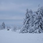 Winterwunderland (1)
