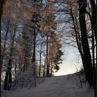 Winterwunderland 1