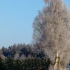 Winterwunderland 1