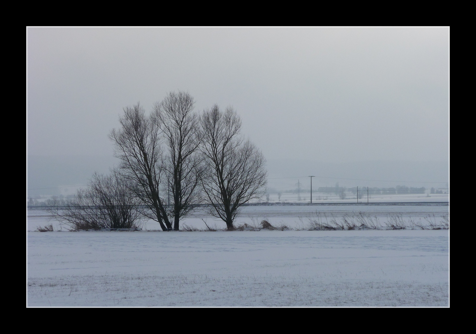 ~ Winterwunderland 1 ~