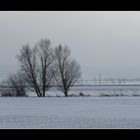 ~ Winterwunderland 1 ~