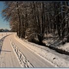 Winterwunderland (1)