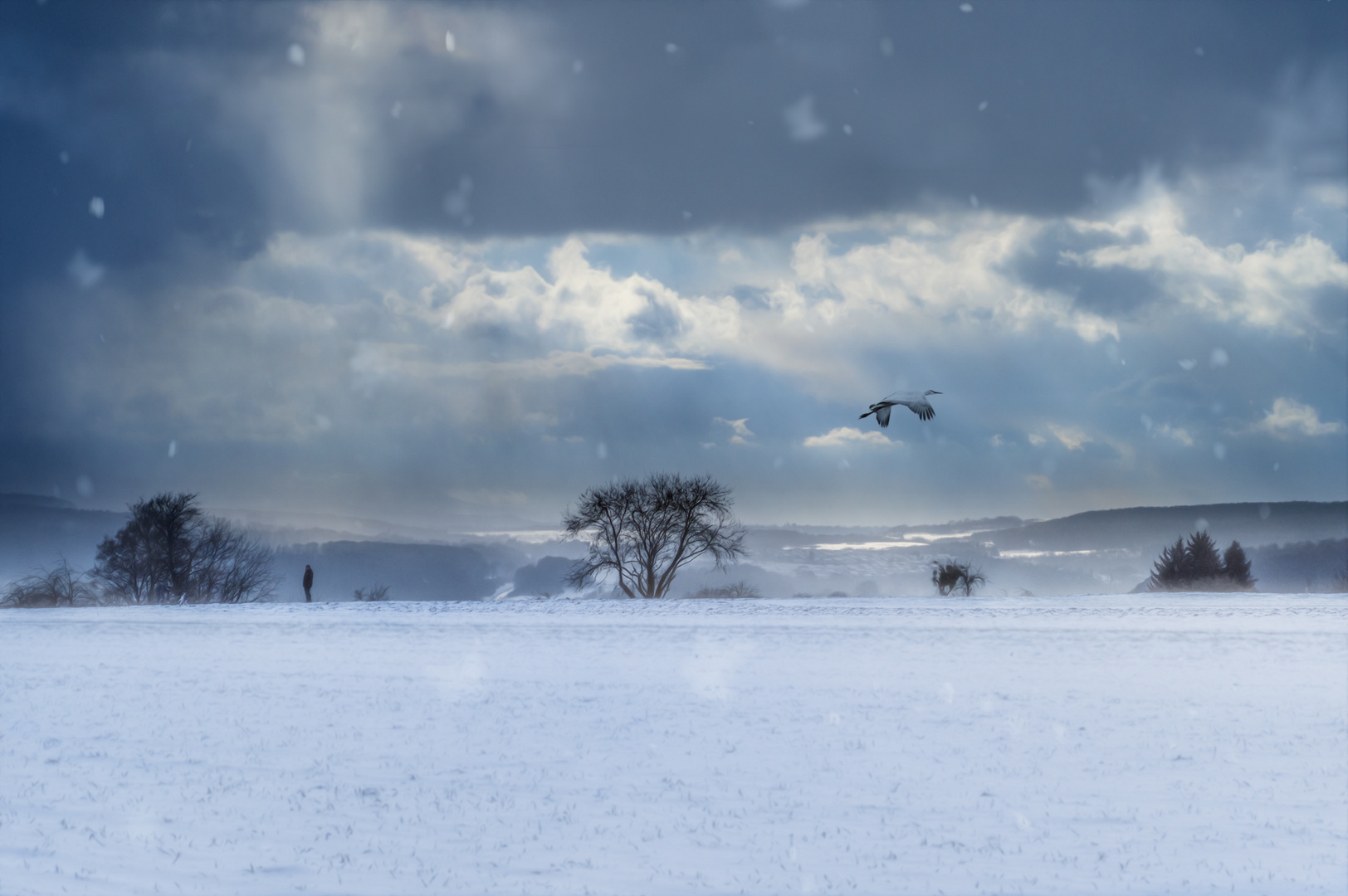 Winterwunderland