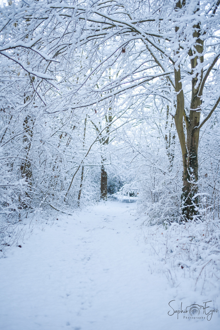 Winterwunderland