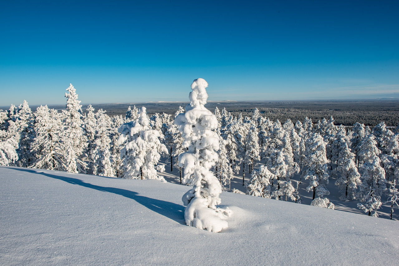 Winterwunderland