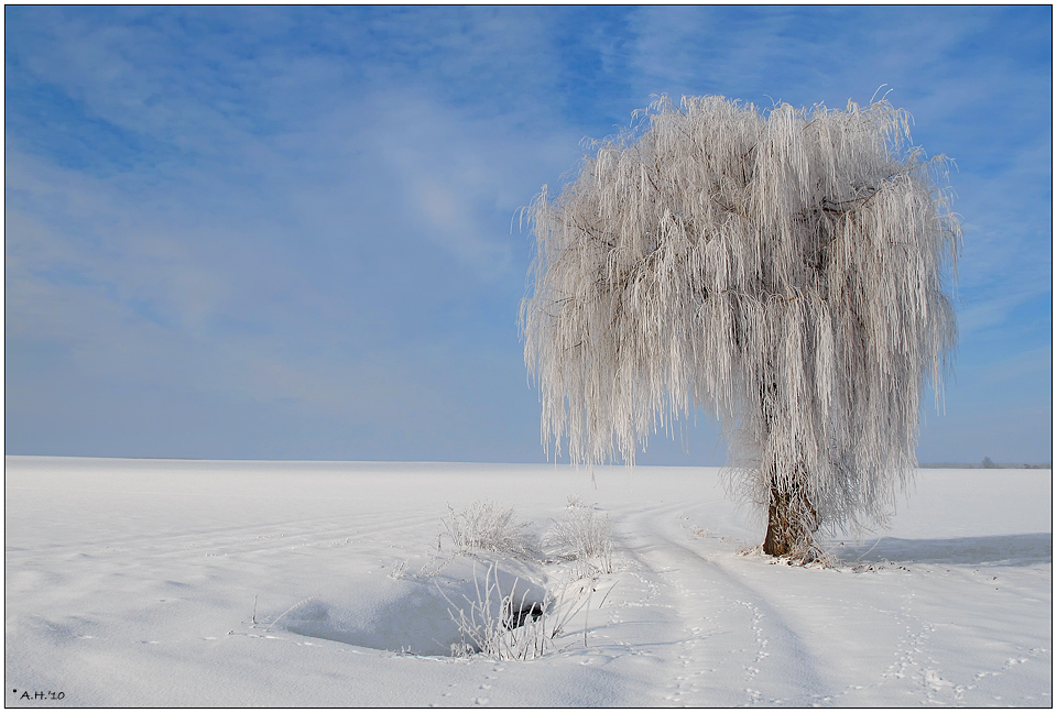 "Winterwunderland"