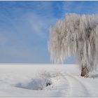 "Winterwunderland"