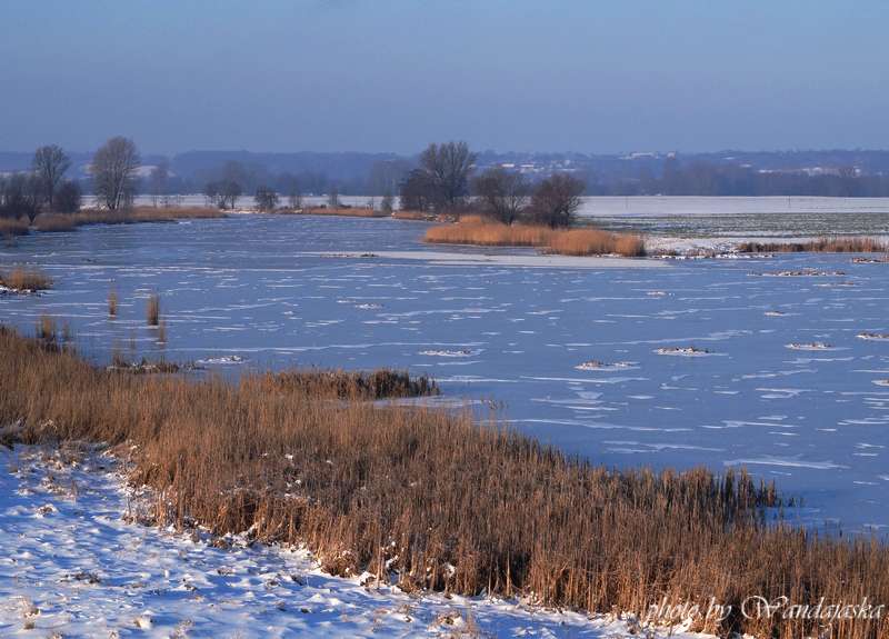 Winterwunderland