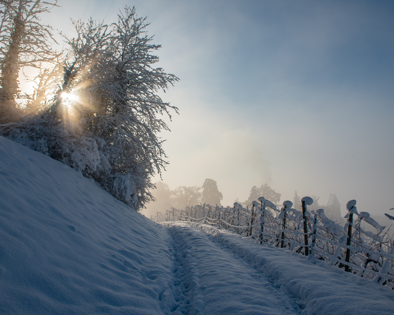 Winterwunderland 