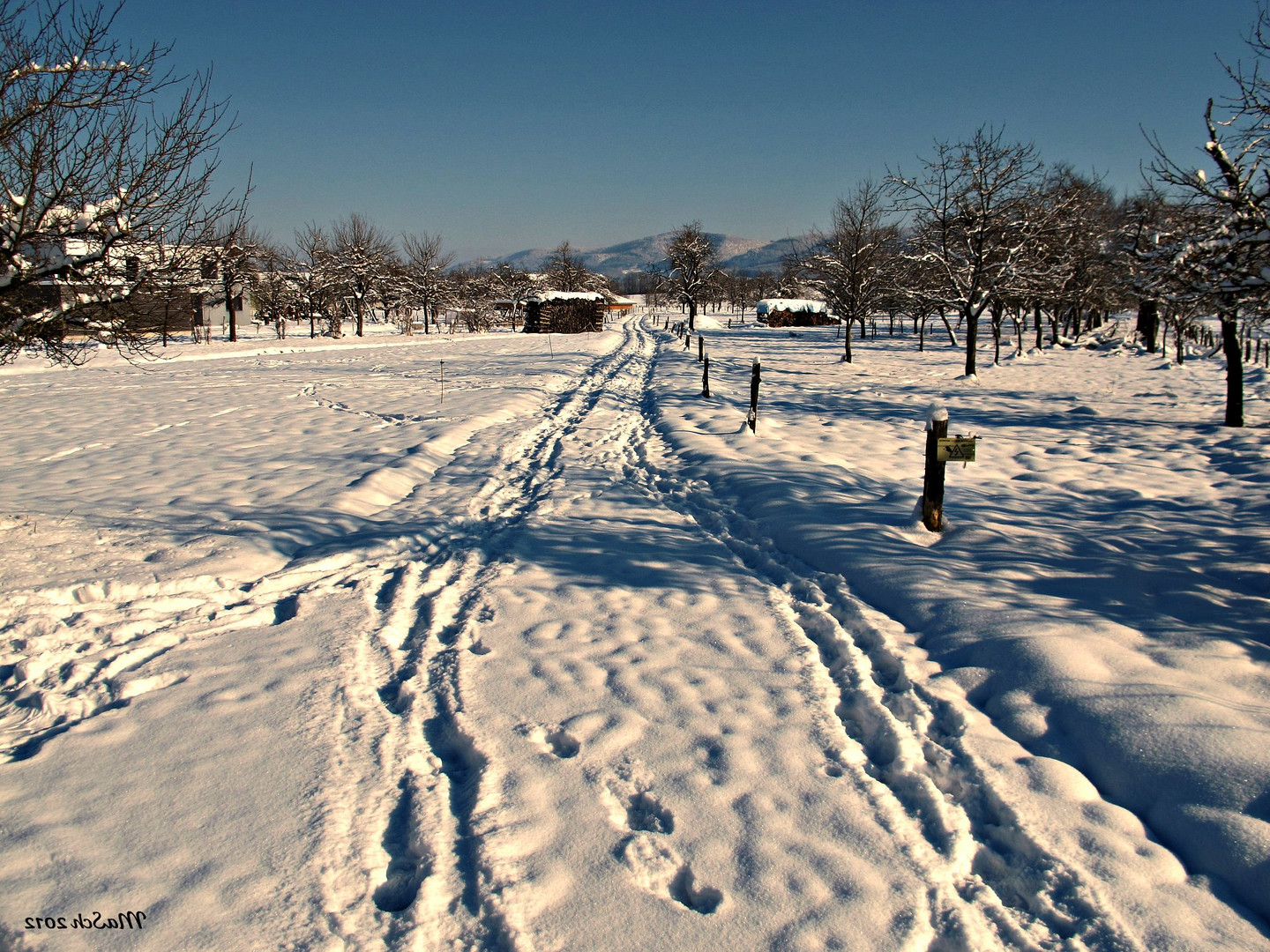 Winterwunderland (2)