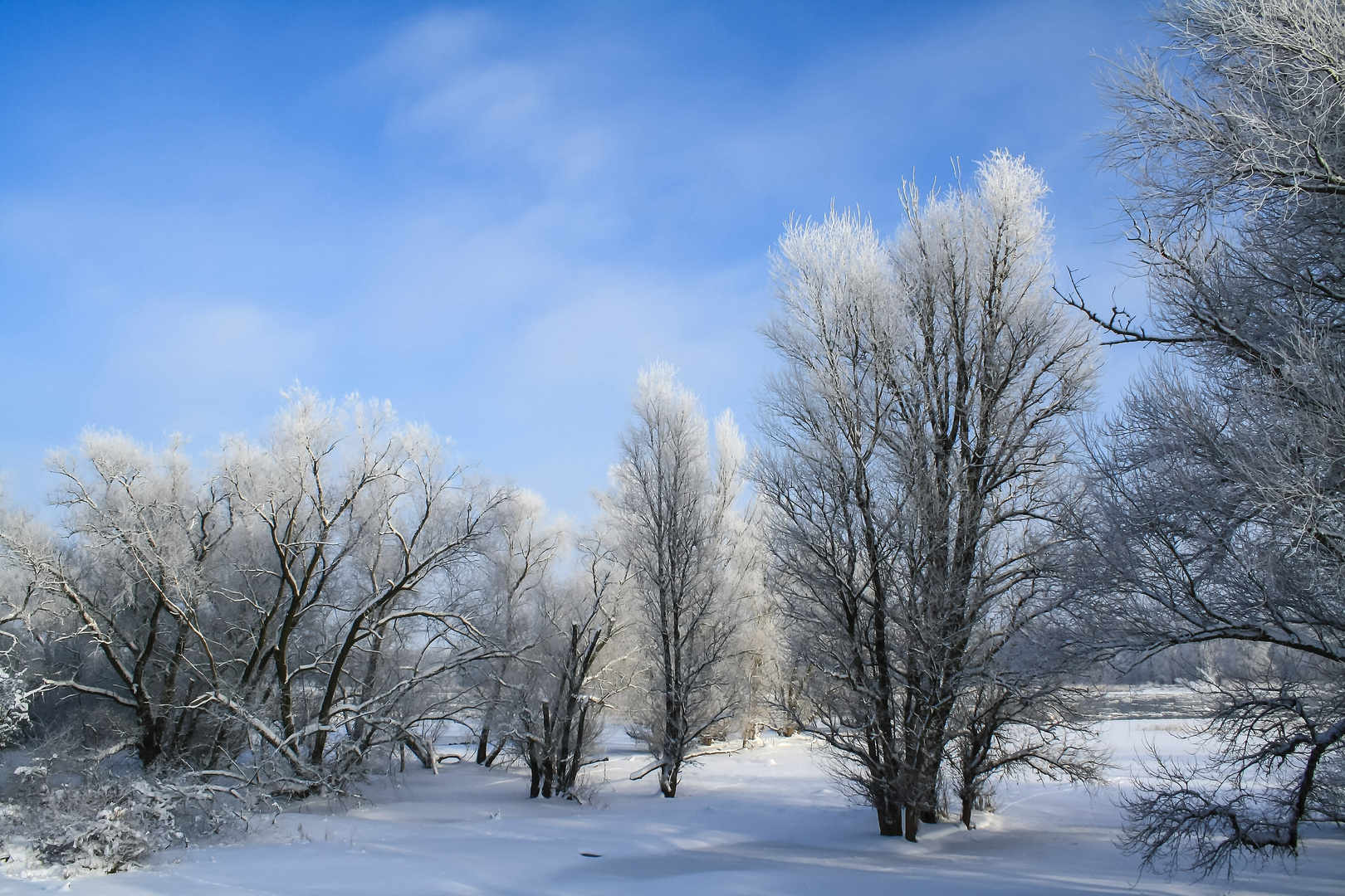 Winterwunderland 2