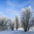 Winterwunderland 2