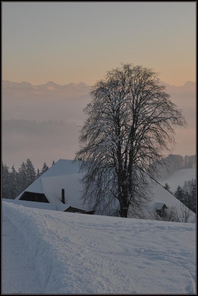 Winterwunderland 2