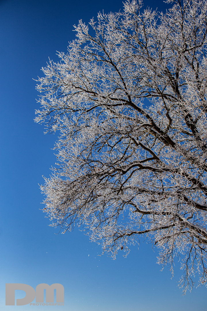 Winterwunderland